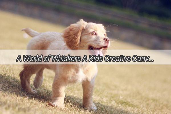 A World of Whiskers A Kids Creative Canvas with Stickers for His Beloved Pooch